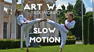 Taekwondo Art WayКиевВДНХКрасота тхэквондо [upl. by Novihc440]