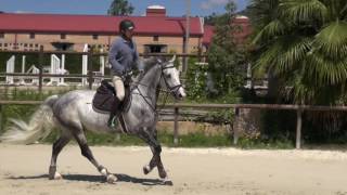 🐴Cómo colocar la mano correctamente encima de mi caballo🐴TRUCOS🐴Monta a caballo paso a paso🐴 [upl. by Ardnaeel]