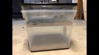 DIY Mealworm Farm Upgrade [upl. by Lauter]