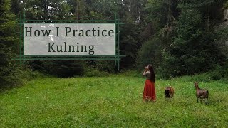 Kulning Tutorial  How I Practice the Ancient Swedish Herdingcall [upl. by Nine]