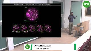 Dr Arjun Narayanan  The Physical Chemistry of Actomyosin Cortex SelfAssembly in C elegans [upl. by Eleynad172]