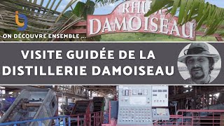 Visite de la distillerie Damoiseau en Guadeloupe [upl. by Ardnuahsal350]