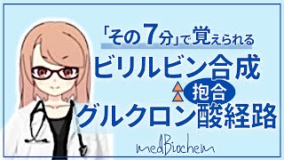 【その７分で覚えられる】グルクロン経路とビリルビンの抱合 [upl. by Nerraj]