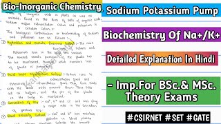 NaK Pump  Biochemistry Of Sodium amp Pottasium  BioInorganic Chemistry  bscnotes mscnotes [upl. by Aibara436]