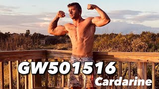 My Experience On GW501516  Cardarine  SARMs Review [upl. by De Witt425]