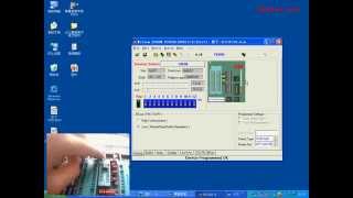 Willem EPROM Programmer [upl. by Arvind]