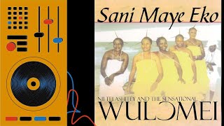 Wulomei Songs Mix  Ghana Music  Ga Songs Vol 4 [upl. by Antrim]