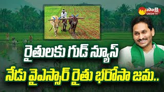 CM Jagan To Release YSR Rythu Bharosa Funds To Farmers Today  SakshiTV [upl. by Aiza]