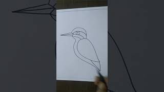 Kingfisher bird drawinghow to draw Kingfisher shorts youtubeshorts viral drawing art [upl. by Merla123]