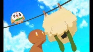 WHY DID THEY HURT WHIMSICOTT [upl. by Mario]