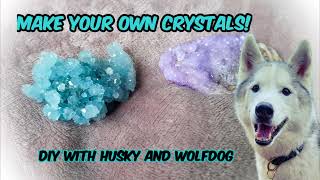 how to make your own crystals [upl. by Estelle]