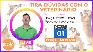 85  FALE COM O VETERINÁRIO  Live gratuita para você perguntar tudo sobre seu cachorro ou gato [upl. by Airuam]