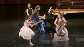 Smetana Piano Trio I Moderato assai [upl. by Christyna]