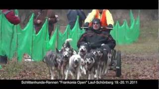 SchlittenhundeRennen quotFrankonia Openquot LaufSchönberg 1920112011 [upl. by Asert]