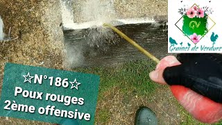 ☆N°186☆ Poux 2ème poulailler Terre de diatomée Mûrissement tomates Vermifuge Chenilles Liseron [upl. by Aikemehs]