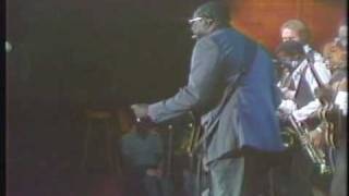 Albert King  1981  Born Under A Bad Sign [upl. by Ilojna]