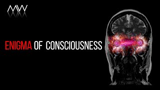 What Is Consciousness What is Its Purpose [upl. by Vanna]