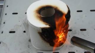 Burning Toilet Paper With Gas Torch [upl. by Almeida]