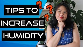 Increase humidity without a humidifier tips and tricks [upl. by Airottiv]