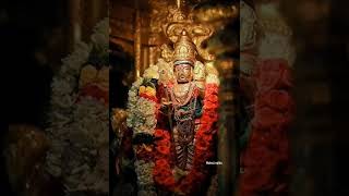 Mannanalum thiruchenduril mannaven Murugansongs whatsapp status [upl. by Nuj]