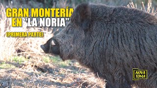 GRAN MONTERÍA EN LA NORIA Parte 1 [upl. by Tremaine]