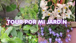 Tour por mi jardín  Parte 1 El jardín de Mary🌺🇪🇨 [upl. by Haletky]