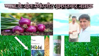 प्याज के खेत में कंप्लीट खरपतवार नाशक pyaj ke khet mein complete kharpatwar dawa [upl. by Jorgan]