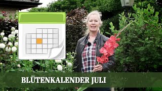 Blütenkalender Juli  Phlox Monarda Euodia Buddleja Spirea Dahlie [upl. by Tallia]