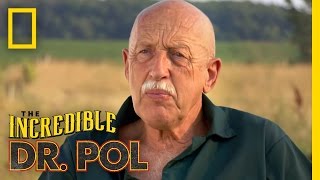 Dr Pol FairTheeWell  The Incredible Dr Pol [upl. by Suu918]