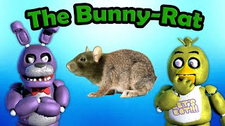 Freddy Fazbear and Friends quotThe BunnyRatquot [upl. by Ahcilef]