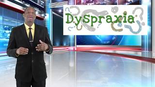 Dyspraxia Insights Information amp Personal Perspectives [upl. by Irina]