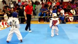 Awesome 7 Year Old Taekwondo Sparring Match [upl. by Natal]