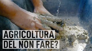 AGRICOLTURA NATURALE coltivare con il metodo Fukuoka [upl. by Enilaf]