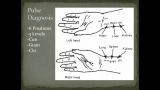 Pulse Diagnosis Overview  Diagnostic Methods in Chinese Medicine [upl. by Sidonius]