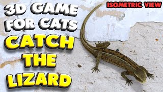 3D game for cats  CATCH THE LIZARD isometric view  4K 60 fps stereo sound [upl. by Nakasuji836]