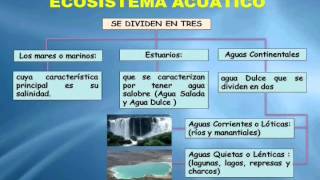 Clases De Ecosistemas [upl. by Sneve]