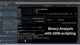 GDBscripting and Binary analysis Türkçe [upl. by Ahsinelg187]