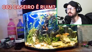 AQUÁRIO SALADA DE PEIXE COM Co2 CASEIRO  tem até CICLÍDEO AFRICANO [upl. by Tneciv349]