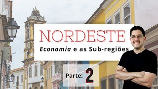 Nordeste Economia e as Subregiões [upl. by Sirrep870]