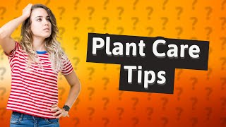 How to remove brown leaves from plants [upl. by Brubaker410]