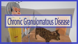 Chronic Granulomatous Disease Mnemonic for the USMLE [upl. by Olds605]