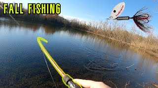 Fall Bass Fishing with Rooster Tail Bank Fishing [upl. by Rutter]