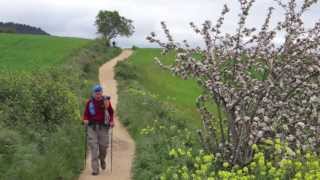 Walking The Camino de Santiago [upl. by Eronaele]