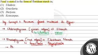 Food is stored in the form of floridean starch in 1 Ulothrix 2 Gracilaria 3 Dictyota [upl. by Aketahs]