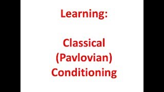 Learning Classical Pavlovian Conditioning [upl. by Nordgren21]