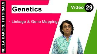 Genetics  Principles of Inheritance amp Variations  NEET  Linkage amp Gene Mapping  Neela Bakore [upl. by Yecnuahc]