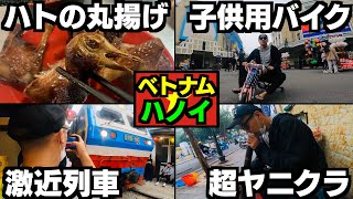 ベトナムでハト食べて子供用バイク乗って列車と水タバコと戯れる [upl. by Philipp]