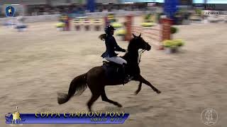 ZOE TOMASSINI FINALE COPPA CAMPIONI PONY FIERA CAVALLI VERONA 2018 [upl. by Yral]