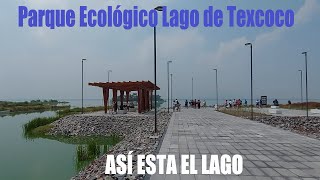 PARQUE ECOLÓGICO LAGO de TEXCOCO Mx  Así se ve el Lago de Texcoco [upl. by Nelehyram]