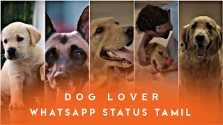 Dog lover whatsapp status tamil  Pet lover  Dog whatsapp status [upl. by Ojeibbob]